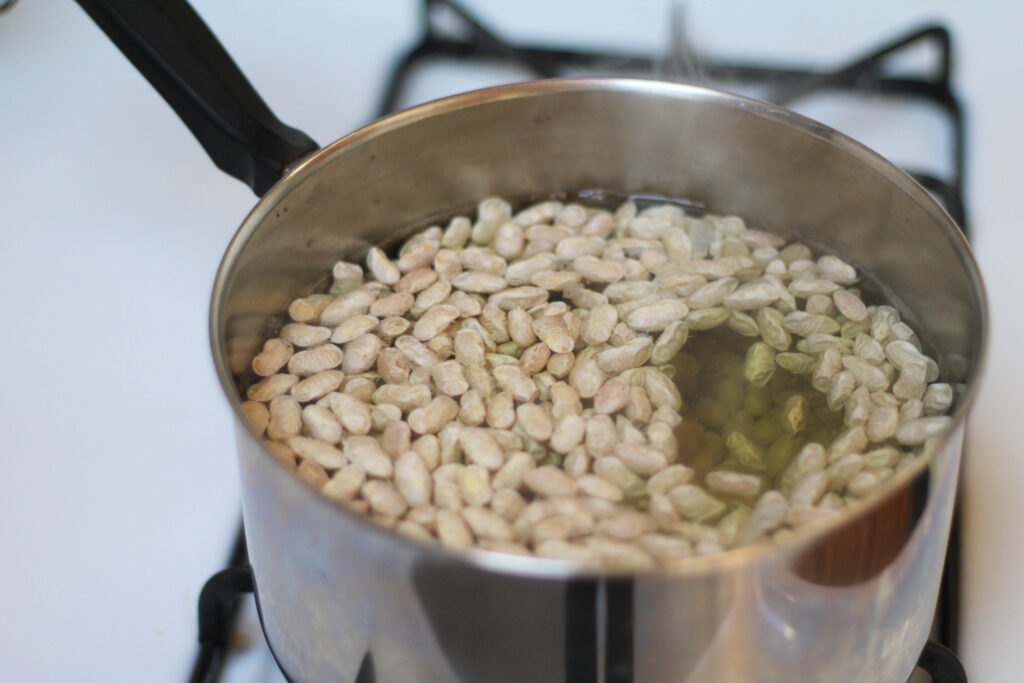 Peruvian Beans in a pot with water on stove. Cooking Peruano beans in water. Boiling Mayocoba beans in water on stovetop. 