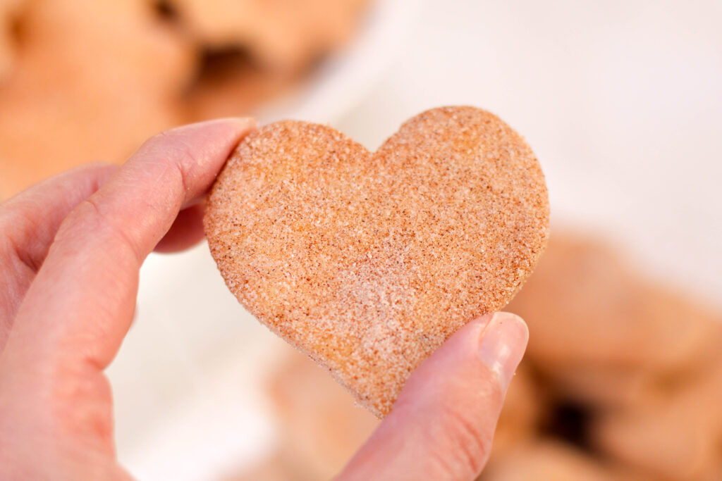 Hand holding bizcochitos cookie with white background.