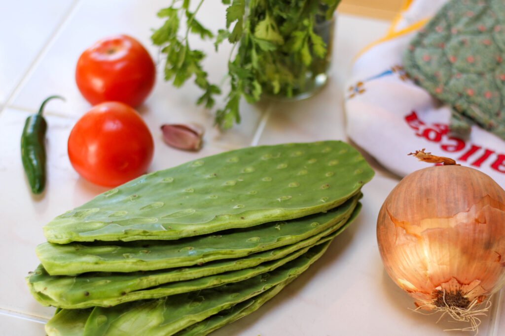 Ingredients to make nopalitos salad including prickly pear cactus pads, tomato, onion, garlic, serrano pepper and cilantro